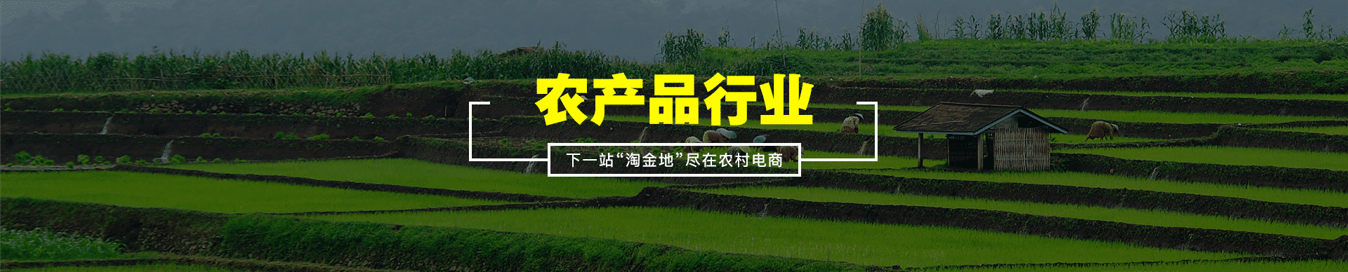 农业电商解决方案