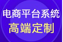 电商平台系统高端定制